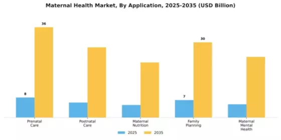 Maternal Health Market Segment Image 0