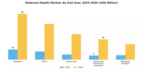 Maternal Health Market Segment Image 1