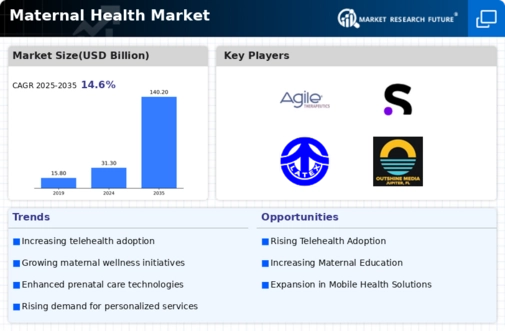 Maternal Health Market Infographic