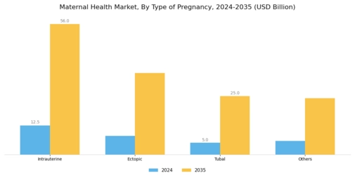 Maternal Health Market Segment Image 0