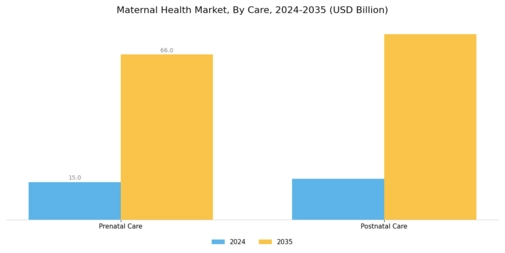 Maternal Health Market Segment Image 2