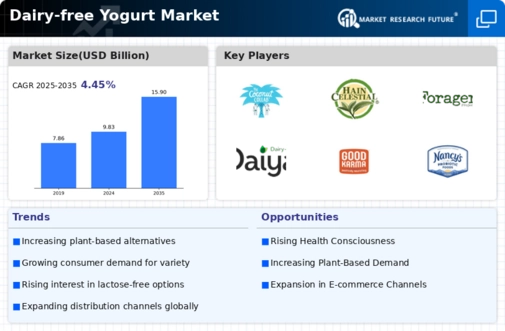 Dairy-free Yogurt Market Infographic