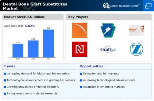 Dental Bone Graft Substitutes Market Infographic