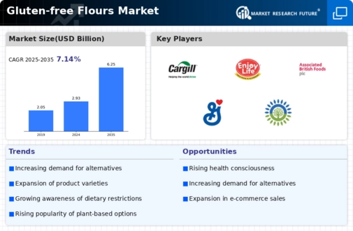 Gluten-free flours Market Infographic