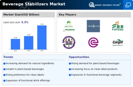 Beverage Stabilizers Market Infographic