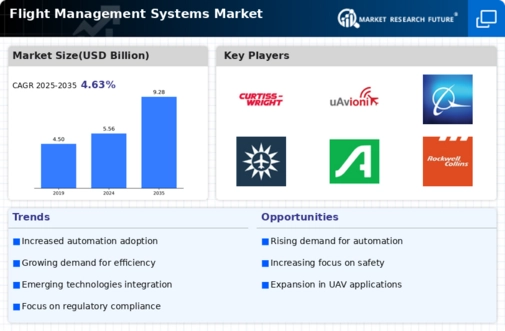 Flight Management Systems Market Infographic