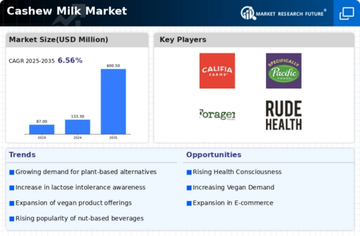Cashew Milk Market Infographic
