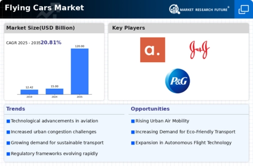 Flying Cars Market Infographic