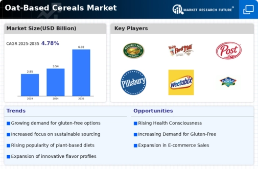 Oat-based Cereals Market Infographic