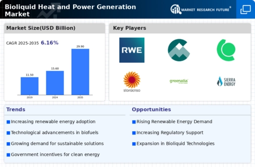 Bioliquid Heat & Power Generation Market Infographic