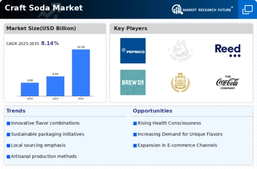 Craft Soda Market Infographic