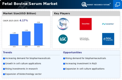 Fetal Bovine Serum market Infographic