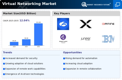 Virtual Networking Market Infographic