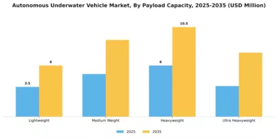 Autonomous Underwater Vehicle Market Segment Image 2