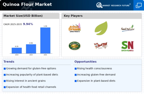 Quinoa Flour Market Infographic