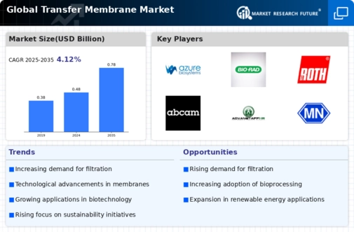 Transfer Membrane Market Infographic
