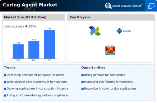 Curing Agent Market Infographic