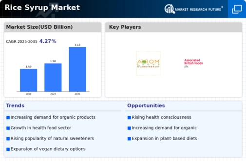 Rice Syrup Market Infographic