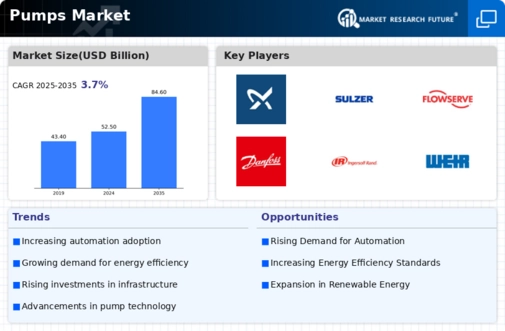 Pumps Market Infographic