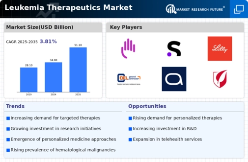 Leukemia Therapeutics Market Infographic