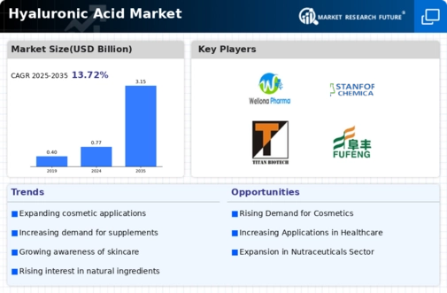 Hyaluronic Acid Market Infographic