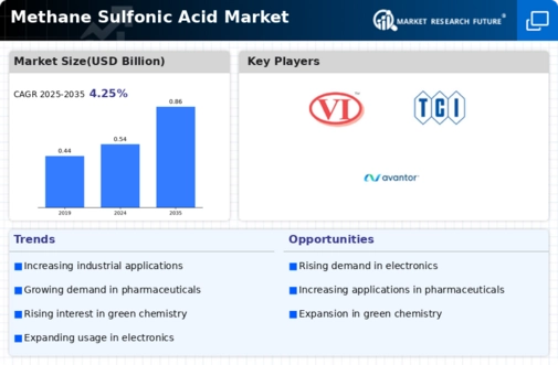 Methane Sulfonic Acid Market Infographic