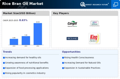 Rice Bran Oil Market Infographic