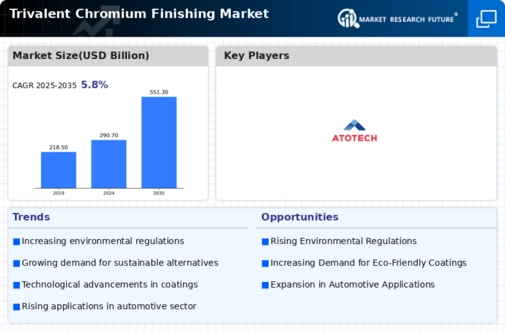 Trivalent Chromium Finishing Market Infographic