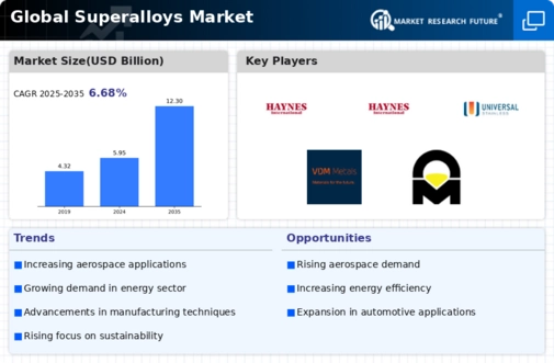 Superalloys Market Infographic