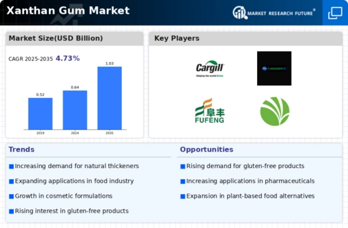 Xanthan Gum Market Infographic