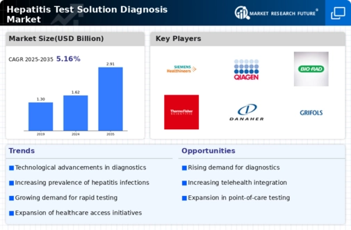 Hepatitis Test Solution Diagnosis Market Infographic