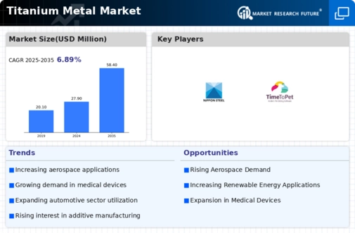 Titanium Metal Market Infographic