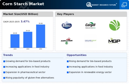 Corn Starch Market Infographic