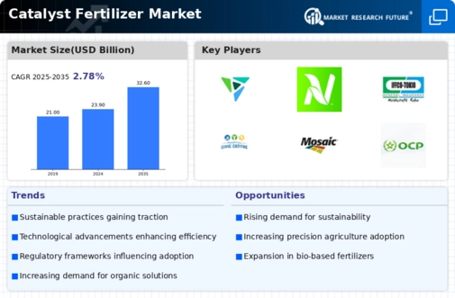 Catalyst Fertilizer Market Infographic