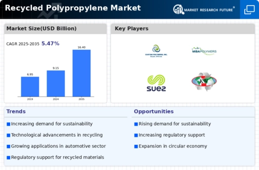 Recycled Polypropylene Market Infographic