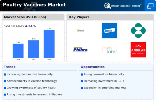Poultry Vaccines Market Infographic