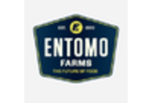 Insect Snacks Market key player