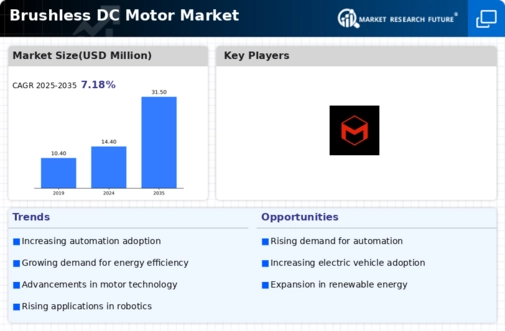 Brushless DC Motors Market Infographic