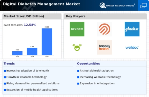 Digital Diabetes Management Market Infographic