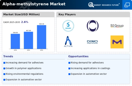 Alpha Methylstyrene Market Infographic