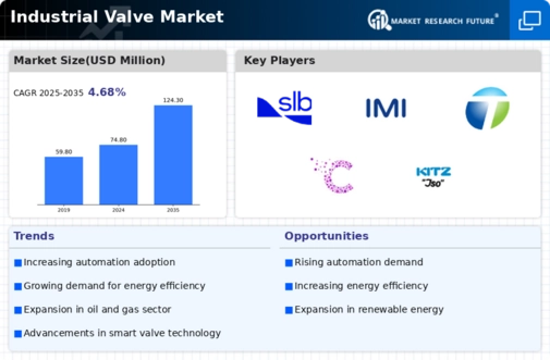 Industrial Valve Market Infographic