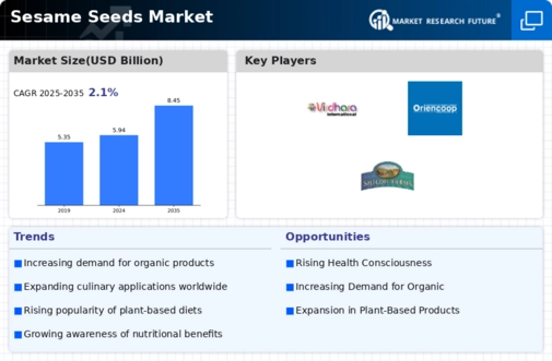 Sesame Seeds Market Infographic