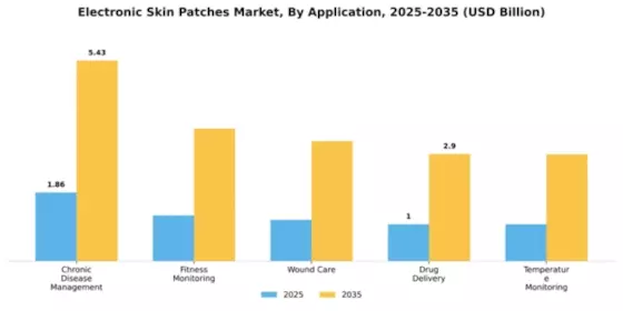 Electronic Skin Patches Market Segment Image 0