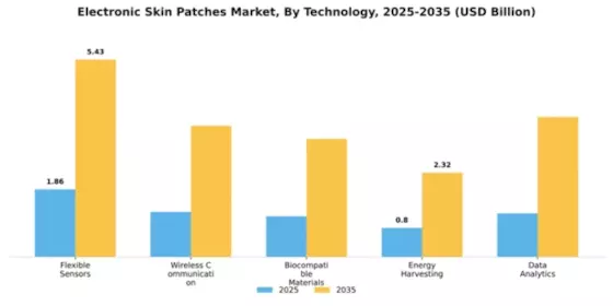Electronic Skin Patches Market Segment Image 2