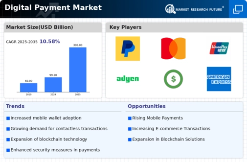 Digital Payment Market Infographic