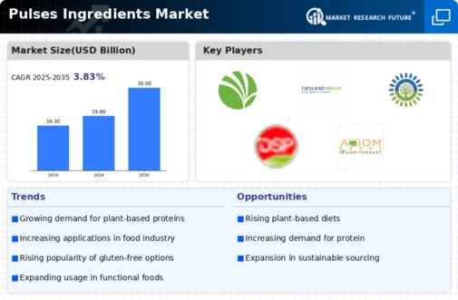 Pulses Ingredients Market Infographic