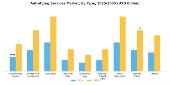 Anti-Aging Services Market Segment Image 1