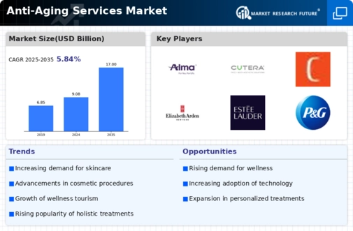 Anti-Aging Services Market Infographic