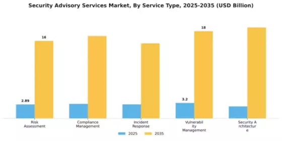 Security Advisory Services Market Segment Image 4