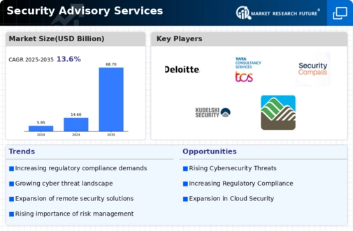 Security Advisory Services Market Infographic
